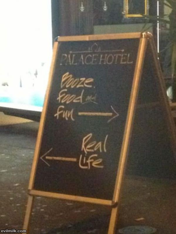 Choose Wisely Here