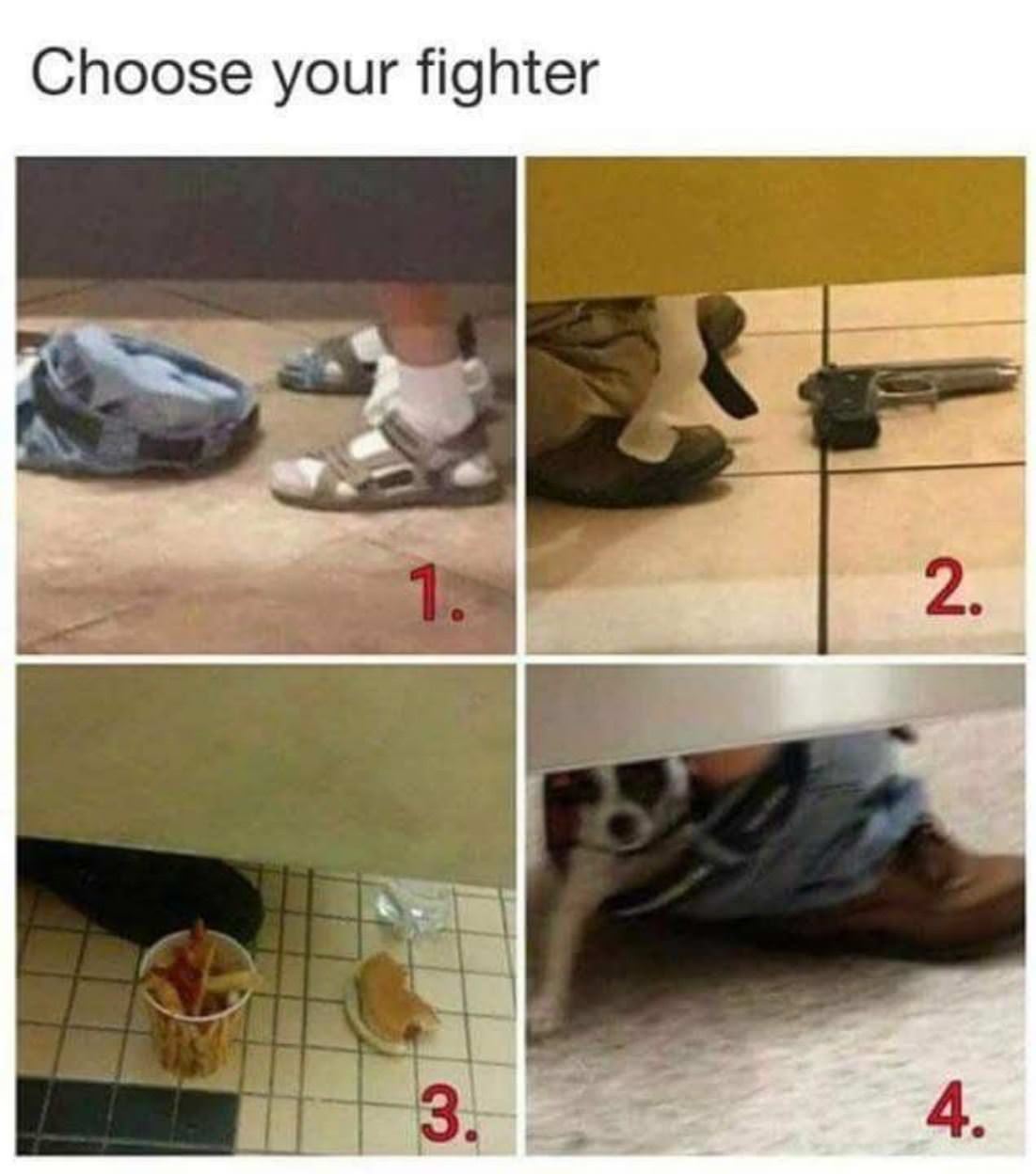 Choose Your Fighter