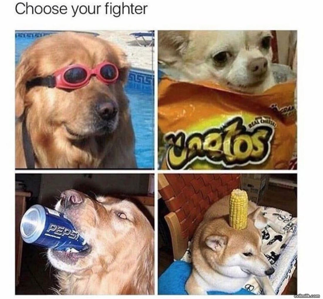 Choose Your Fighter