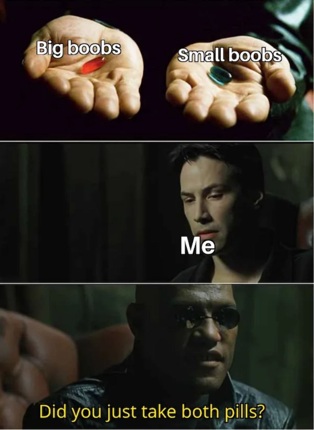 Choose Your Path