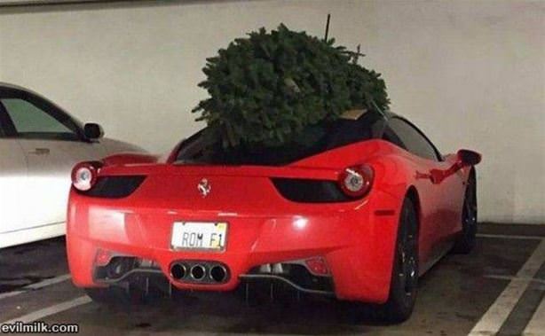 Christmas Is Coming 2