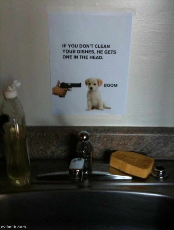 Clean Your Dishes