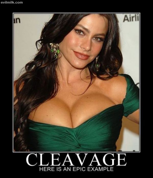 Cleavage