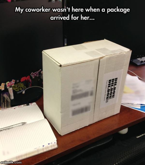 Co Worker Pakcage