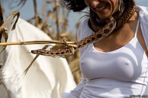 Cold Snake