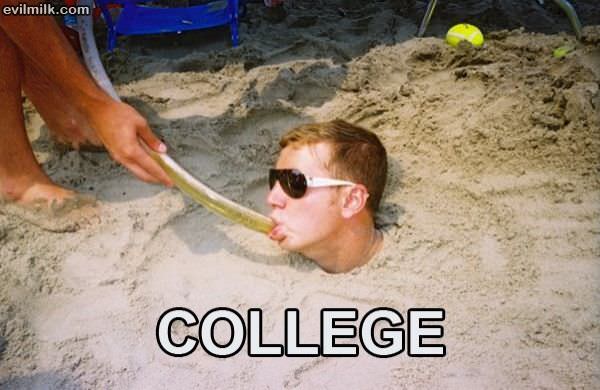 College