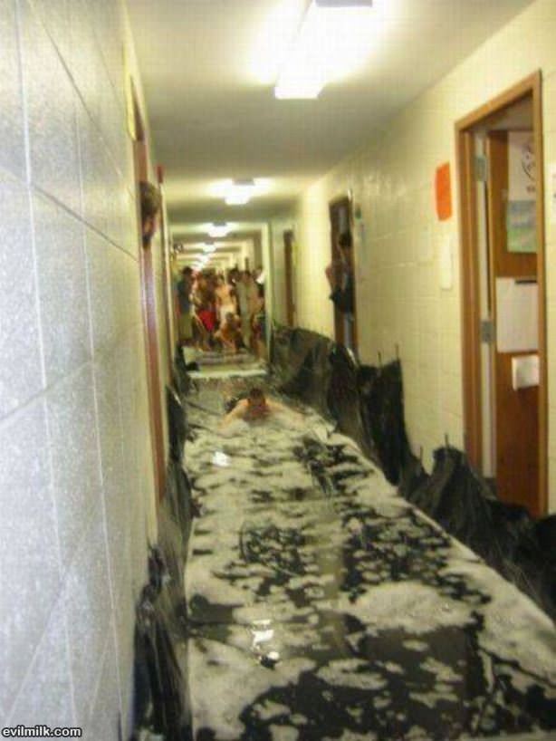 College Is The Best