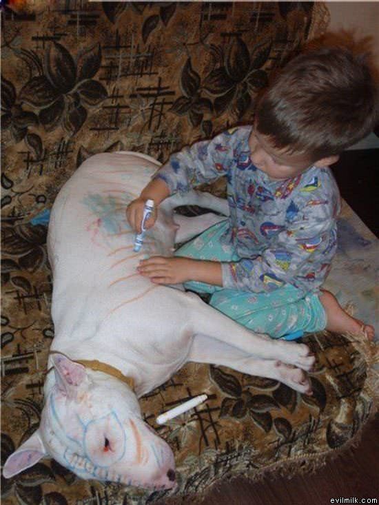Coloring Book