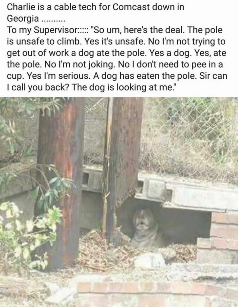 Comcast Cable Problem