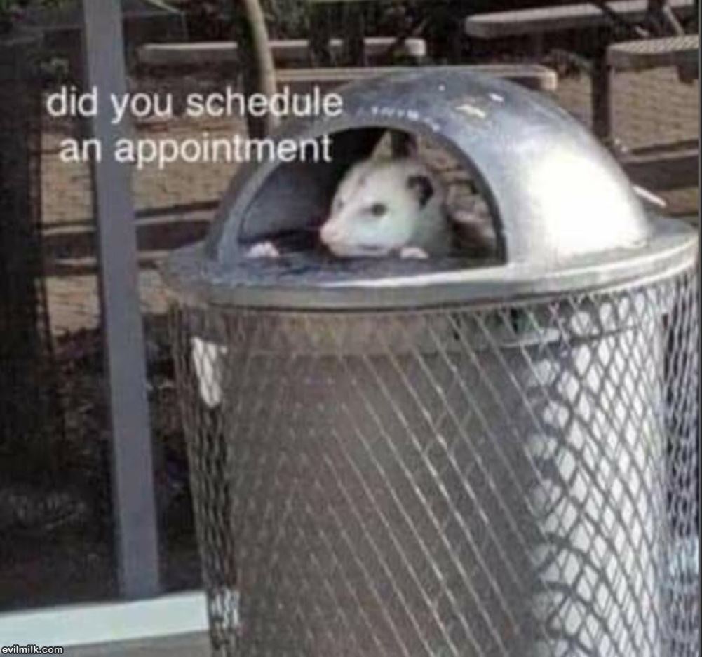 Come Back Later