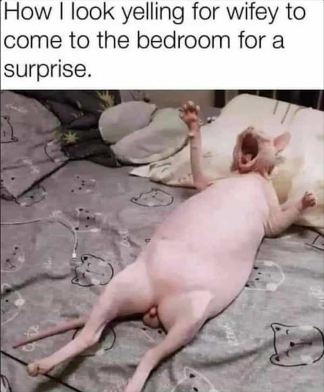 Come For A Surprise