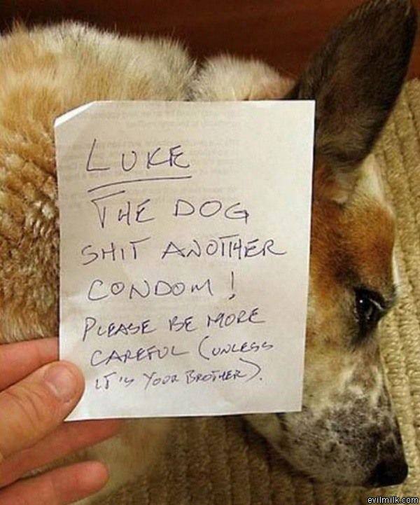 Condom Shitter