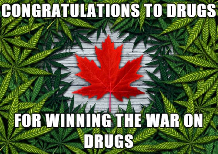 Congratulations To Drugs