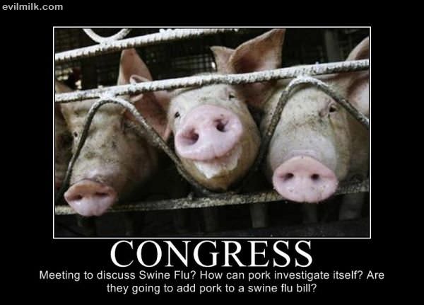 Congress