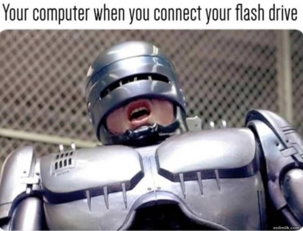 Connecting A Flash Drive