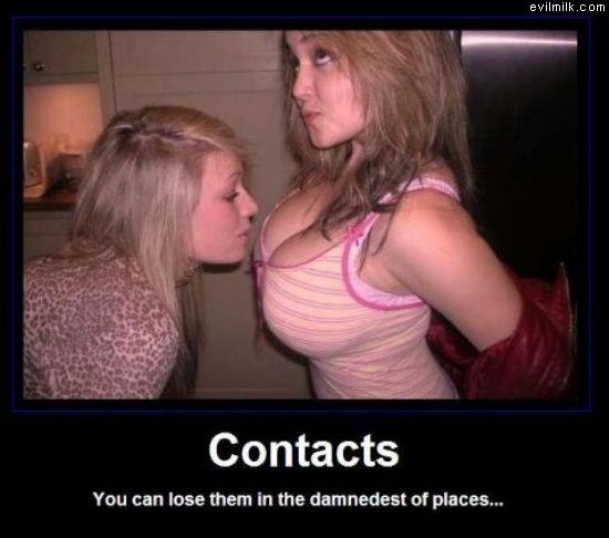Contacts