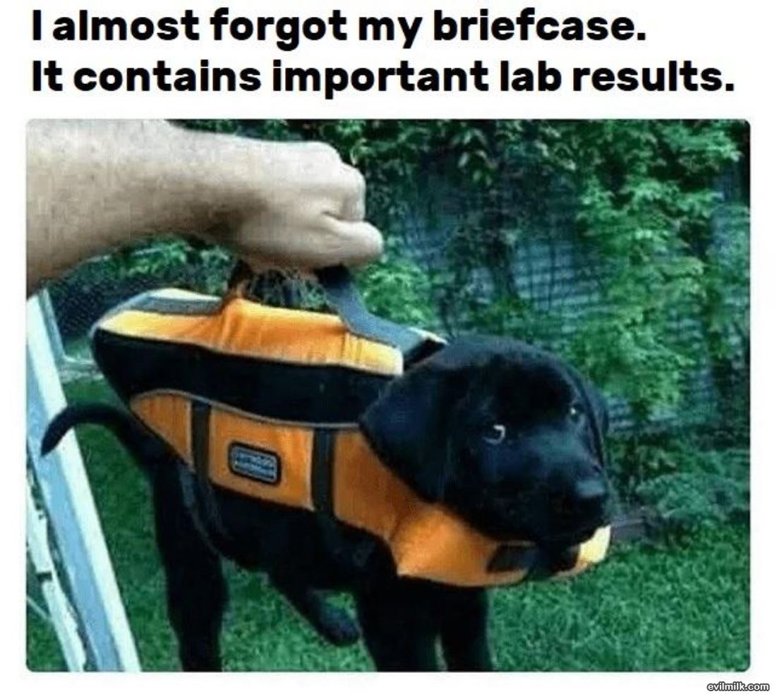 Contains Imporant Results