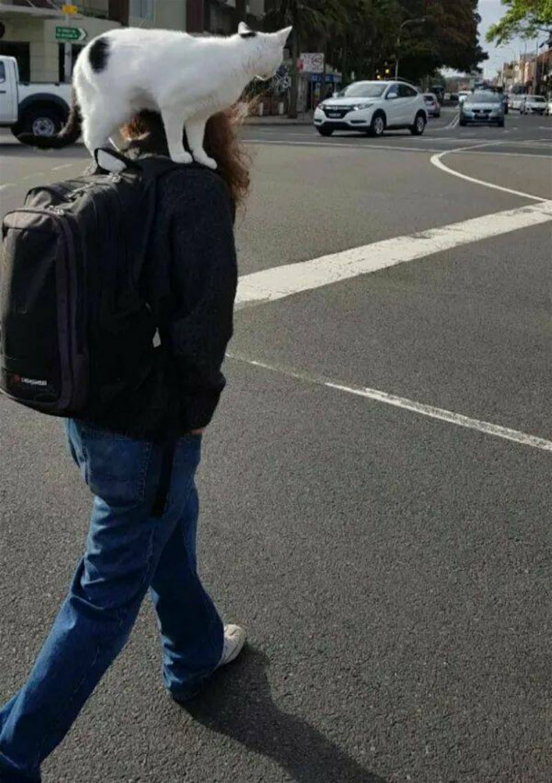 Cool Stuff   GIFDUMP   141