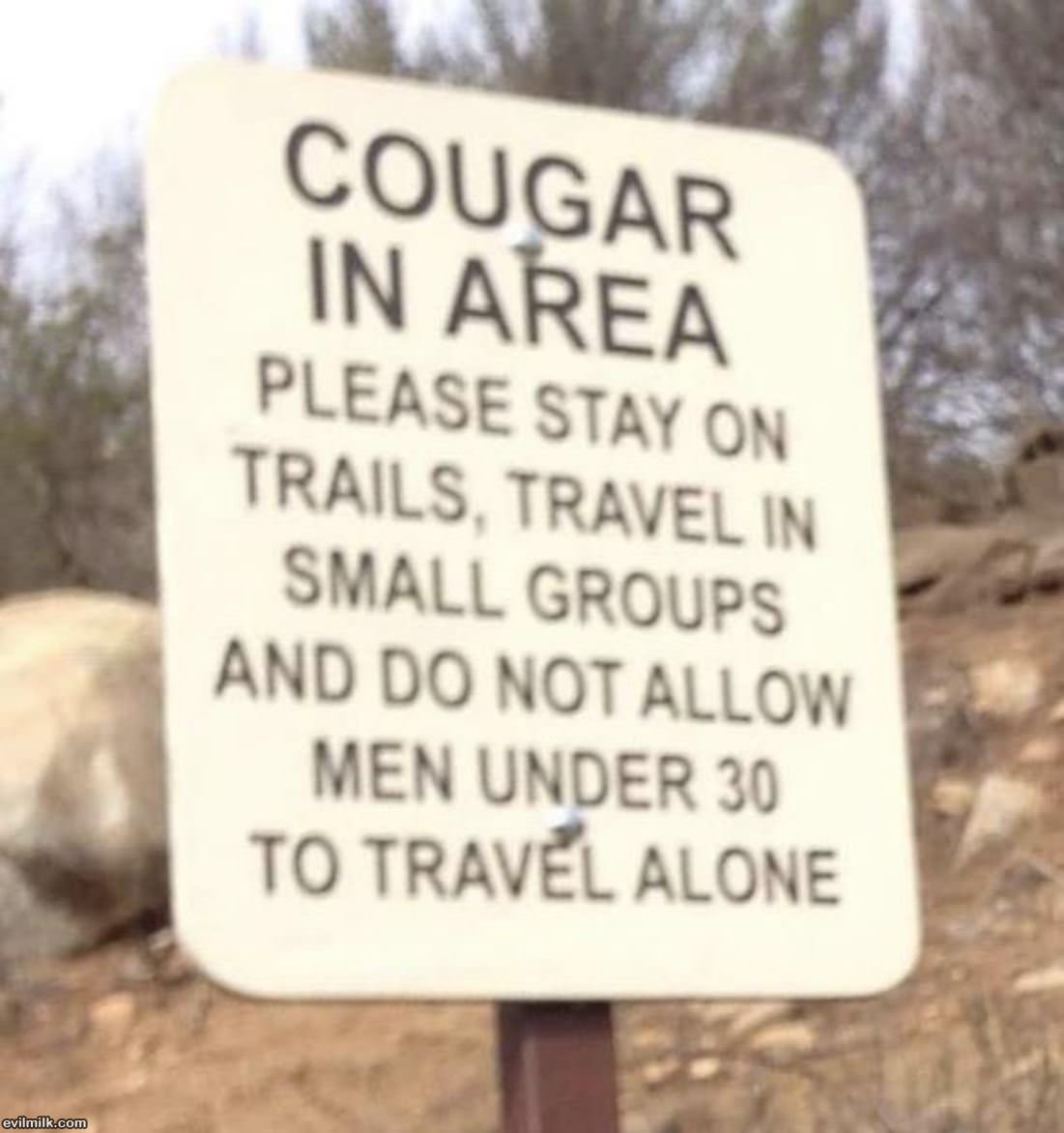 Cougar Area