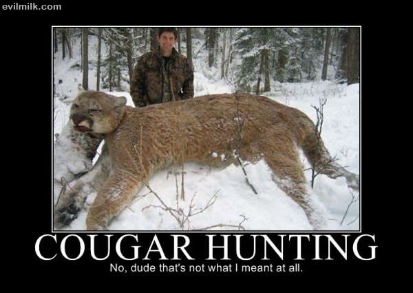 Cougar Hunting