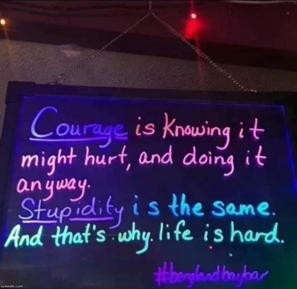 Courage Vs Stupidity