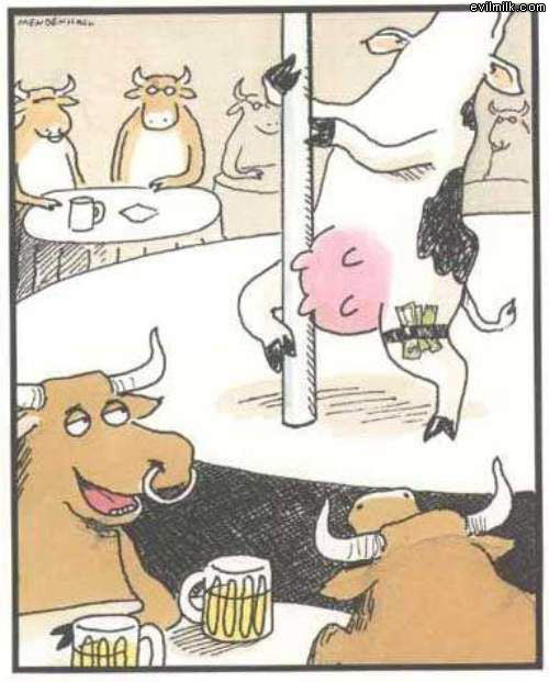 Cow Strip Club