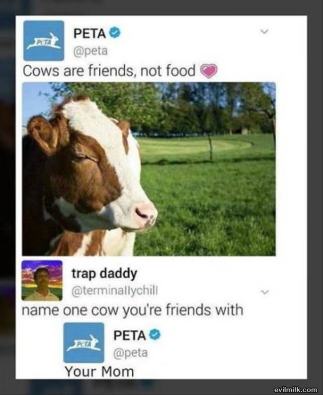 Cows Are Friends Not Food