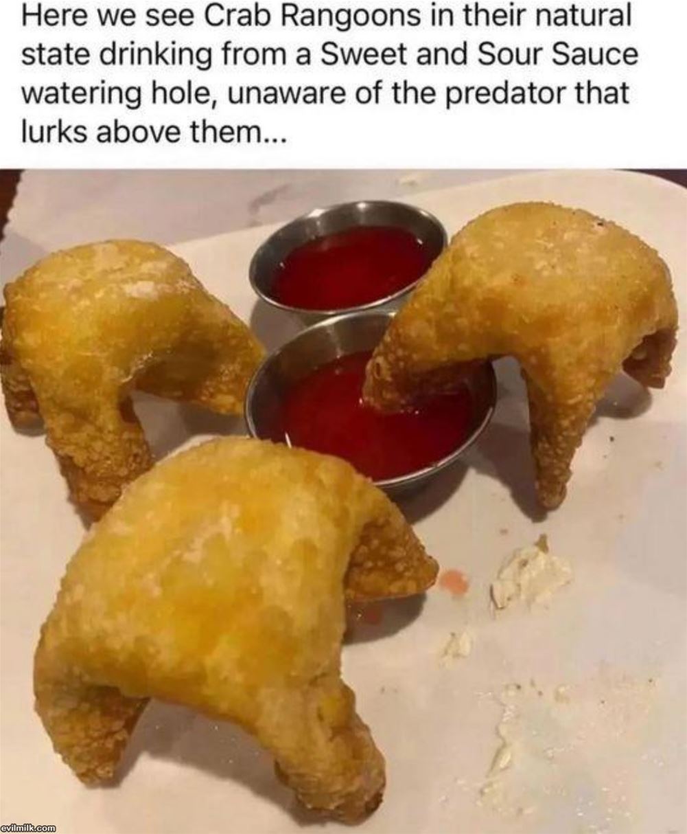 Crab Rangoons