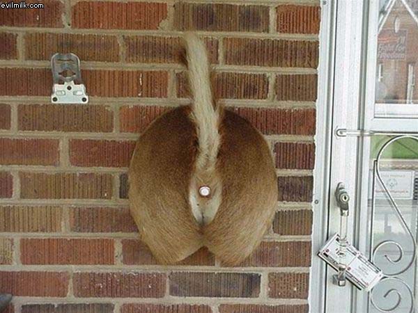 Creative Doorbell