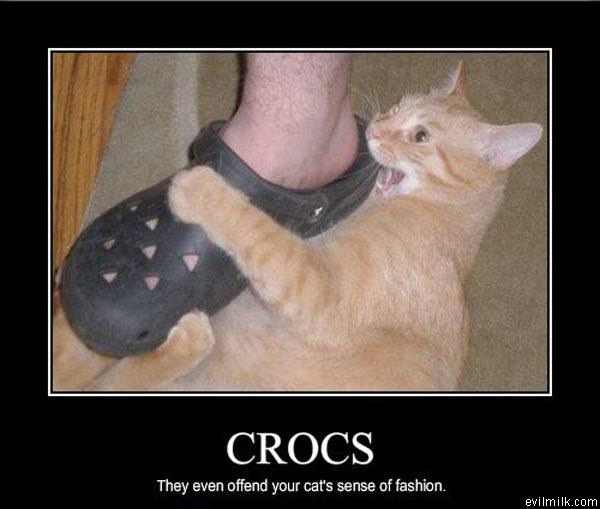 Crocs