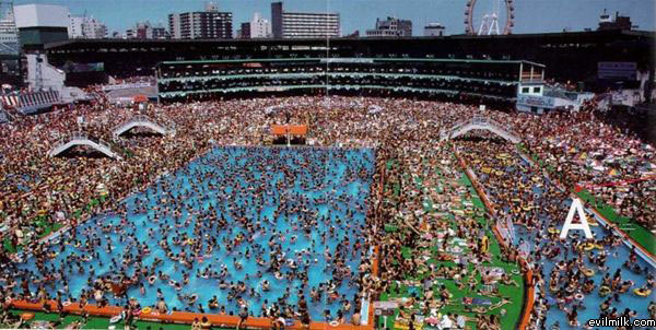 Crowd