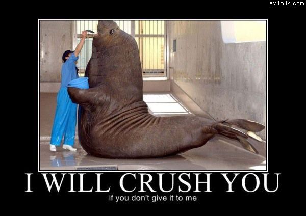 Crush You