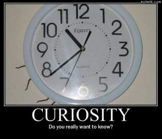 Curiosity