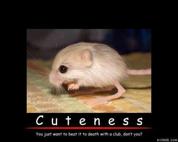 Cuteness