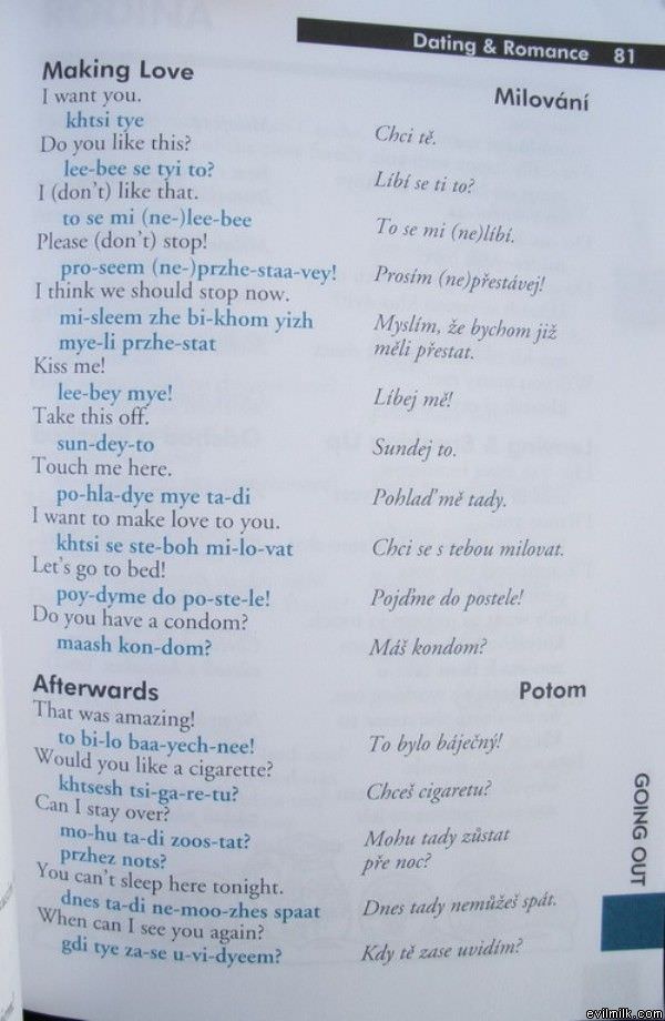 Czech For Beginners