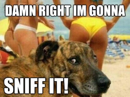 Damn Right