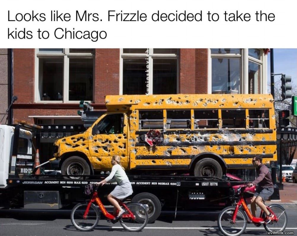 Damnet Mr Frizzle