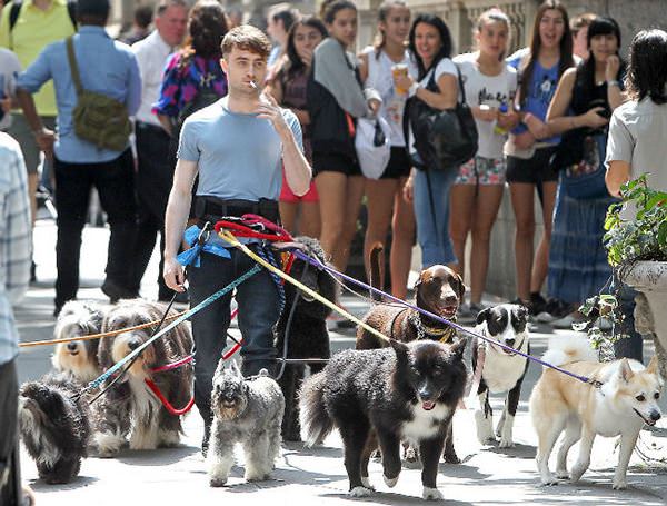 Daniel Radcliffe Is A Boss
