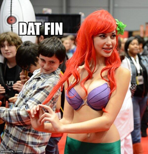 Dat Fin