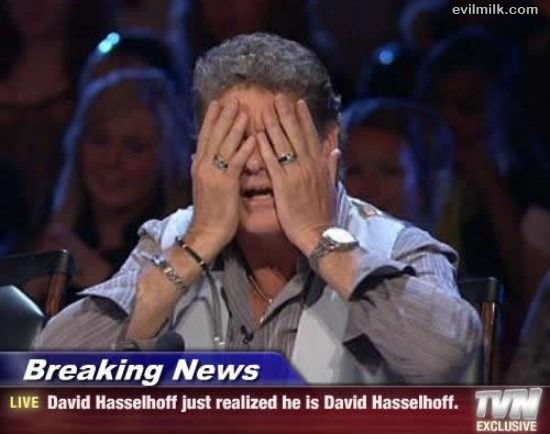 David Hasselhoff