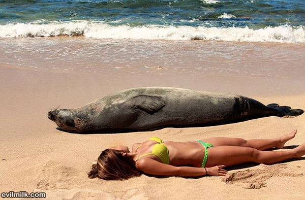 Day At The Beach