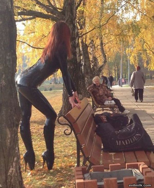 Day At The Park