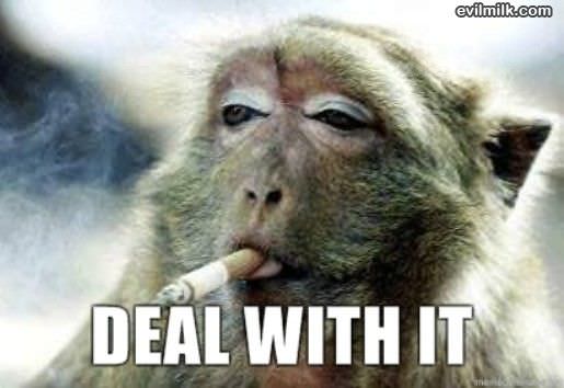 Deal With It