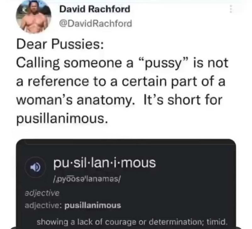 Dear Pussies