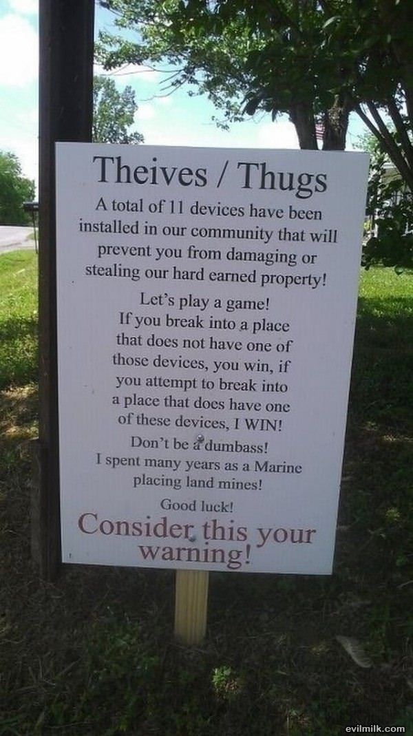 Dear Thieves