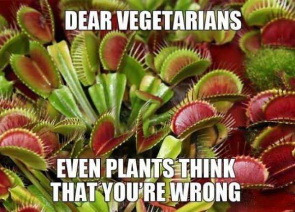 Dear Vegetarians