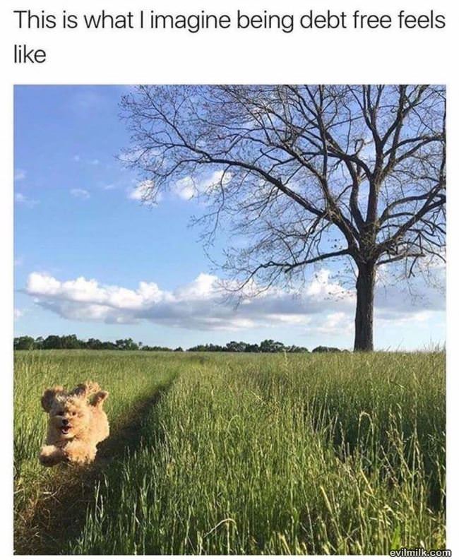 Debt Free Feels Like