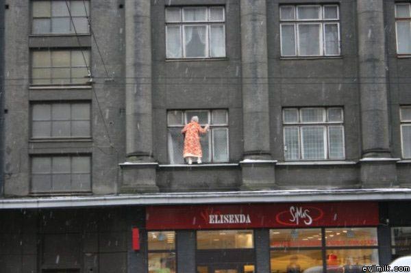 Dedicated Window Cleaner