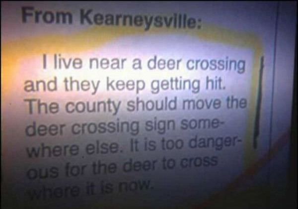 Deer Crossing