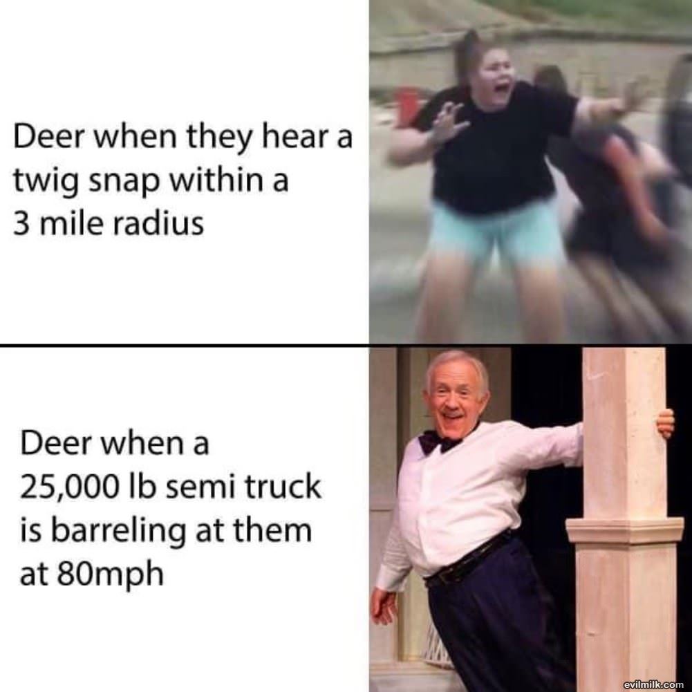 Deer Reactions